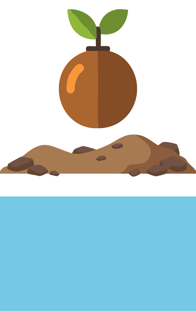 Seed bomb above some dirt