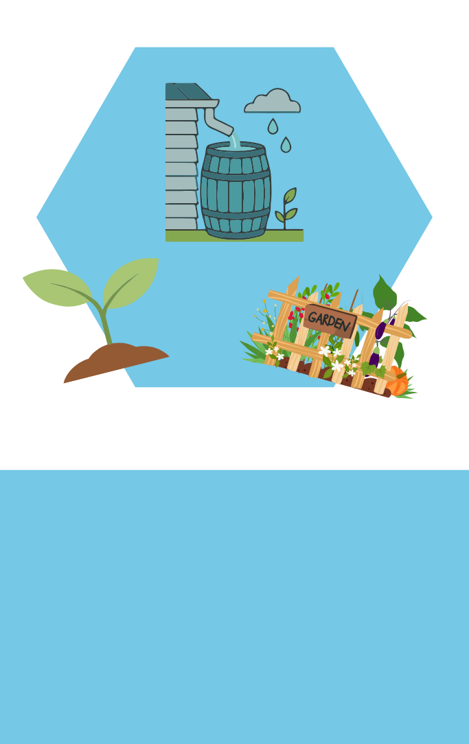 rain barrel and some garden plants 
